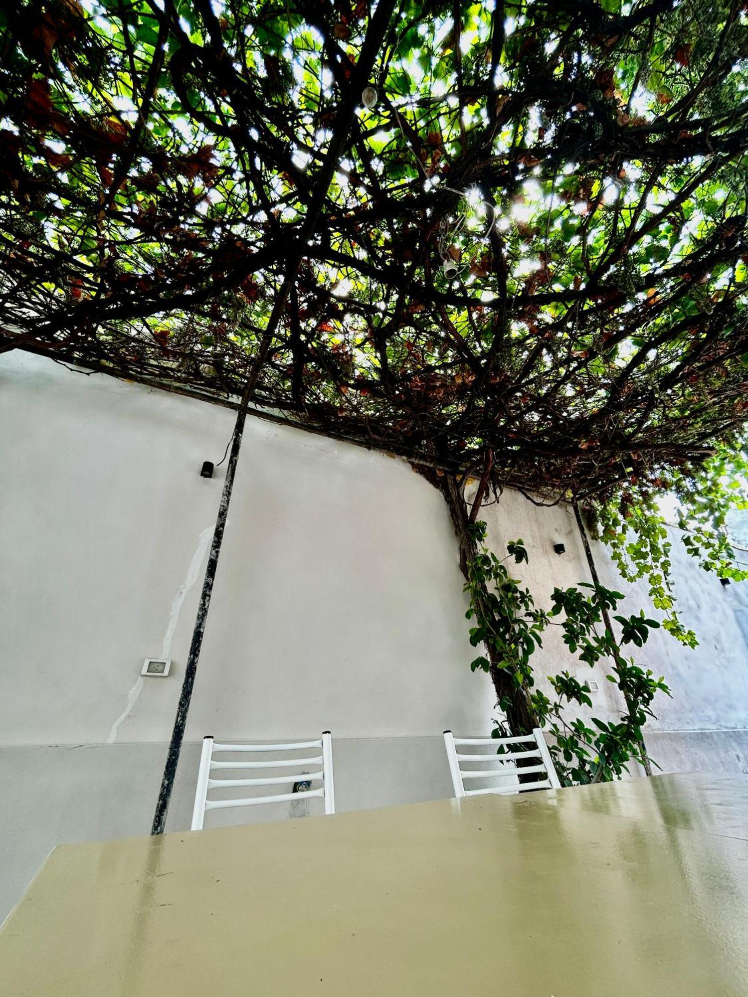 Albergue Plaza